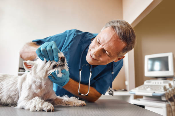 Best Emergency Denture Repair in Ripon, WI